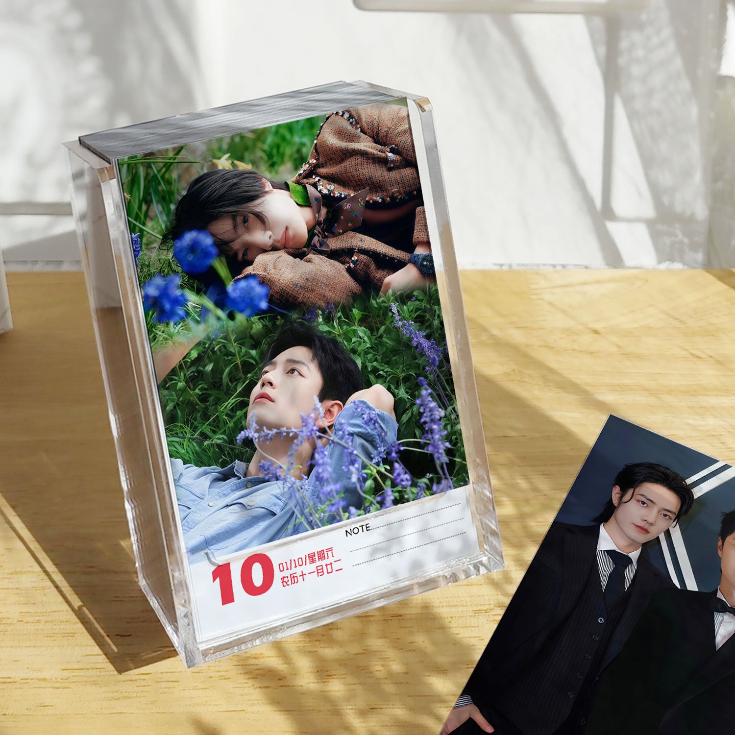 The Untamed 2026 Desk Calendar, Acrylic calendar, 366 Pages