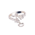 Heaven Officials Blessing Ring，925 Silver Ring，Ring Promise Rings For Her，Tian Guan Ci Fu Animation Peripheral Product