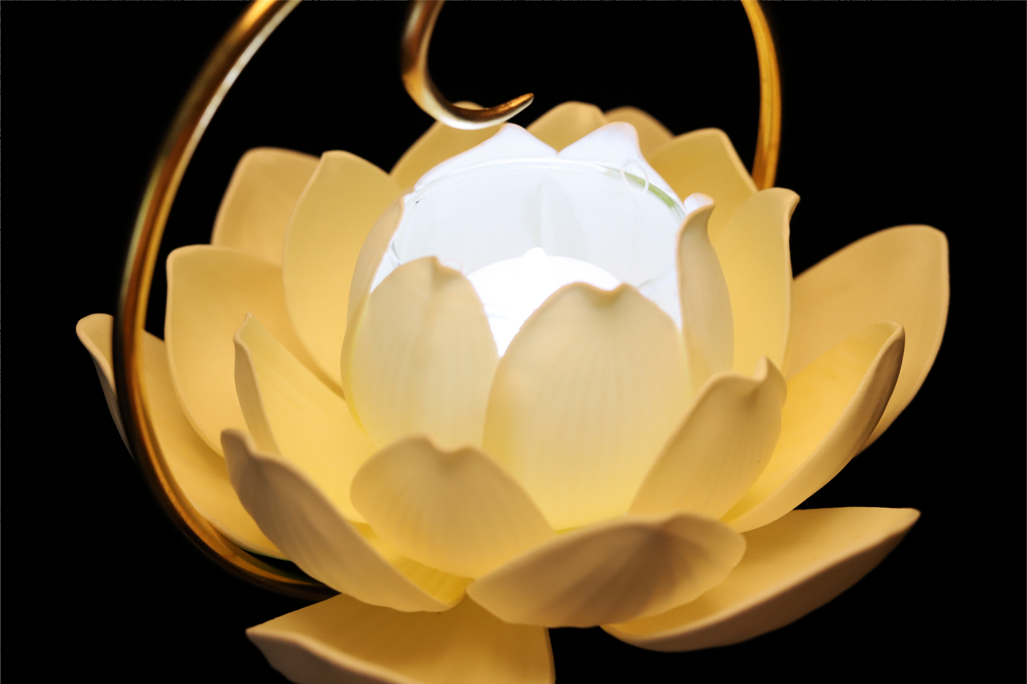 The Untamed TV Series Merchandise Lotus Hand Lamp